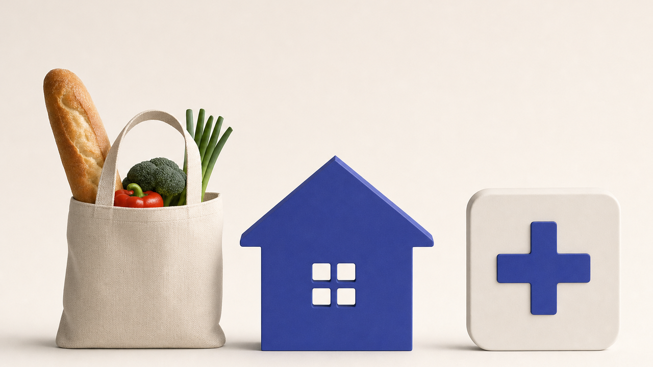 Daily Life Infrastructure: Groceries, Healthcare, and Essential Services